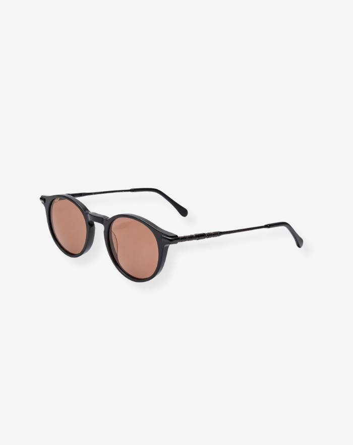 The Black/Brown Luxury Glasses