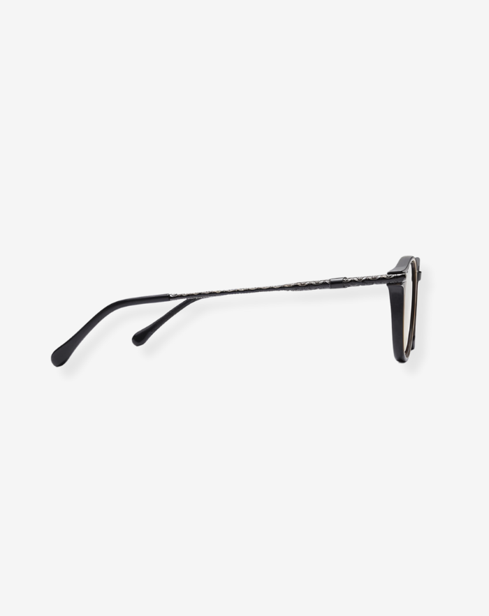 The Black/Brown Luxury Glasses