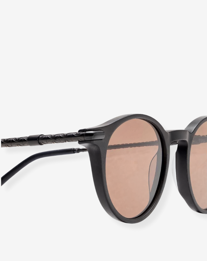 The Black/Brown Luxury Glasses