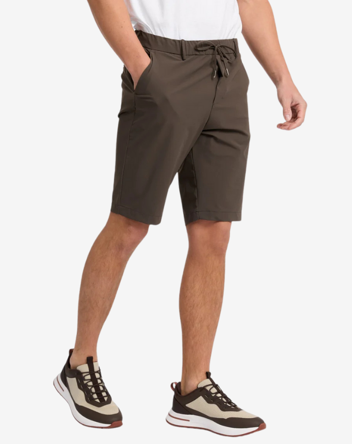 The Brown Stretch Shorts