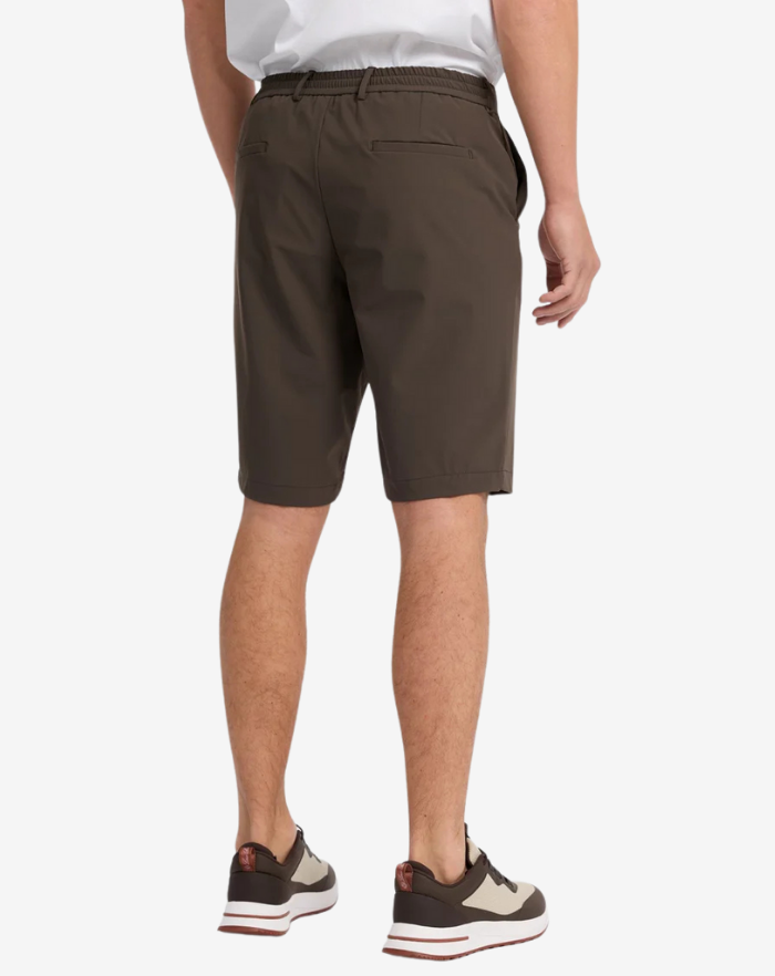 The Brown Stretch Shorts